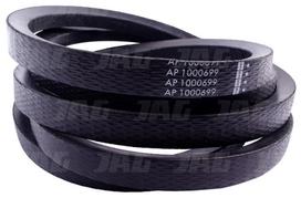 AP1000699 Diržas Optibelt Agro Power