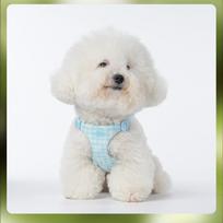 & Co. The Simply No-Pull Dog - Size Small - Vest to Stop Pulling & Walk Easy - Comfortable Leash Training Product w XS mėlyna