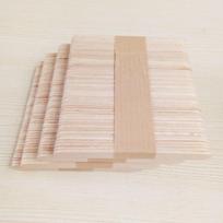 Mielos ledų formelės su dangteliais naminiams ledams - 4 vnt. rinkinys 50 wooden sticks beige