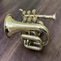 Žalvarinis poliruotas kišeninis trimito instrumentas, 3 vožtuvas, senovinis „Flugel Horn“ antikvarinis