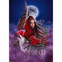 Diamond Painting Girl and wolf Full Square/Round Mosaic Embroidery Home Decor Handmade Gift Full Round 20X30CM