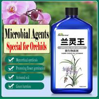 Orchidėjų specialus skystas trąšų maistinis tirpalas hidroponikai ir vazoninėms gėlėms žydėjimui ir šaknijimuisi skatinti 200ml blue