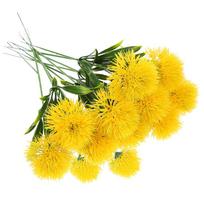 Dandelion Planta Artificial Flowers Flower Fake Faux Wedding Yellow Dried Ball Simulated Onion Decor Dandelions 25X3.5CM geltona