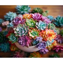 5d DIY Diamond Painting Full Square Succulent Plants Diamond Embroidery Beads Sets Mosaic Flower Rhinestone Picture Full Round 20x30CM brown