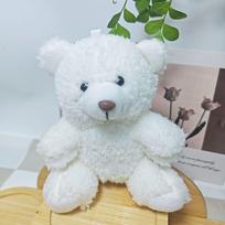 Naujas Žavus Garbanotas Pliušinis Meškiukas Raktų Pakabukas Pakabukas Single Bear (Unclothed) balta