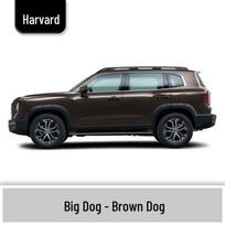 Haval Big Dog Car Scratch Repair Paint Pen - White, Black, Gray, Orange Single Pen