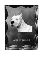 Dogo Argentino - crystal with a picture of a dog, glass statuette with a picture, unique frame with a picture from Art-Dog brand skaidri