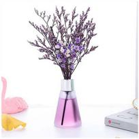 Eteriniai aliejai Aroma Diffuser Home Fragrance Room Kvepalai Skystis 50ml Lavender