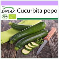 SAFLAX – Ekologiška – Cukinija – Nero di Milano – 6 sėklos – Cucurbita pepo