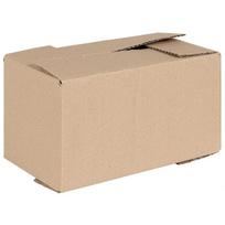 Sulankstoma dėžė 50 pcs Natūrali 24 x 13 x 13 cm Kartonas