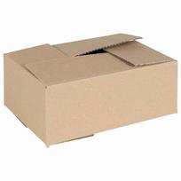 Sulankstoma dėžė 50 pcs Natūrali 25 x 175 x 10 cm Kartonas