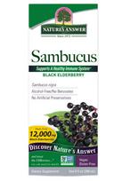 Sambucus - 240 ml. - Nature's Answer
