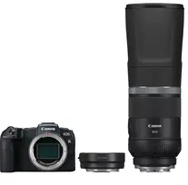 Canon EOS RP + RF 800mm f/11 IS STM + Mount Adapteris EF-EOS R