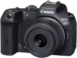 Canon EOS R7 + RF-S 18-45mm F4.5-6.3 IS STM(F/4.5-6.3 IS STM)