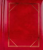 FANDY Lipnus fotoalbumas DRS-30 Vinil 1