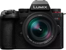 Panasonic Lumix G DC-G9 II + LEICA DG VARIO-ELMARIT 12-60mm F2.8-4.0 ASPH. / POWER O.I.S. (Juodas)