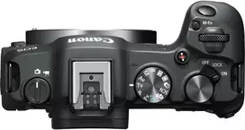 Canon EOS R8 + RF 800mm f/11 IS STM