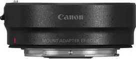 Canon EOS R8 + RF 800mm f/11 IS STM + Mount Adapteris EF-EOS R