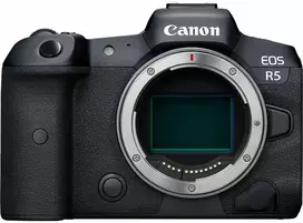 Canon EOS R5 + RF 24-240mm f/4-6.3 IS USM