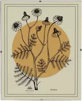 Nuotraukų rėmelis Affek Design Mondex Since 1986 ADI rėmas 20x25 cm apsauga nuo rėmo stiklo