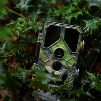 Kameros - Caruba Wildcamera Toad Full HD 24MP Night Vision WiFi Juodas