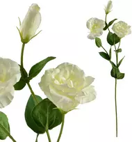 Mondex Since 1986 VIRIDIS Dirbtinė gėlė Eustoma 70cm gumuota