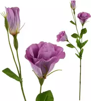 Mondex Since 1986 VIRIDIS Dirbtinė gėlė Eustoma 70cm gumuota