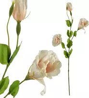 Mondex Since 1986 VIRIDIS Dirbtinė gėlė Eustoma 70cm gumuota