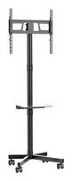 TV laikiklis - stovas GEMBIRD TVS-55T-03 32-55"