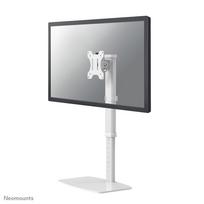 Neomounts monitoriaus laikiklis 30" balta FPMA-D890WHITE