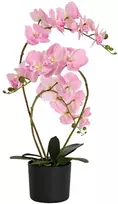Dirbtinė orchidėja su vazonu Rožinė 45 x 15 x 65 cm