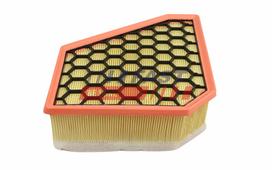FAST Oro filtras Air cleaner FT10555