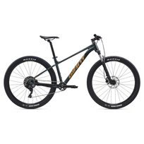 Bicycle GIANT Talon 2, 29" Asphalt Green (XL)