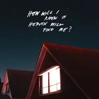 The Amazons - How Will I Know If Heaven Will Find Me? (vinilinė plokštelė, LP)