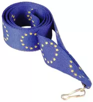 Tryumf Kaspinas 22 mm V10/EUR