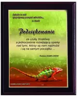 Tryumf Plastikinis diplomas su „colour touch“ laminatu HG2553/G
