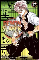 KNYGA Koyoharu Gotoge Demon Slayer: Kimetsu no Yaiba, Vol. 17
