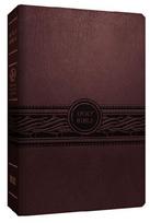 Personal Size Large Print Bible-Mev