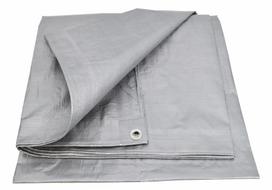 AWTOOLS TENTAS SIDABRINIS 120g 6*10m