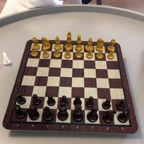 Šachmatų žaidimo rinkinys Dovanos Profesionalus vaikams Nešiojamas Daugiafunkcinis Edukacinis žaislas Sulankstomas Brown Gold Chess
