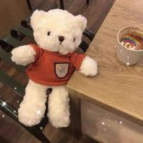 Cute sweater teddy bear doll plush toy large hug bear doll activity gift grab machine doll 28cm