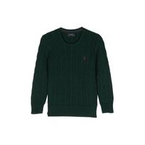 Polo Ralph Lauren Vienspalvis Jodinėjimo Siuvinėjimas Storas Mezgimo Megztinis Vaikams Megztinis Tamsiai Žalias 323702674-055 XL