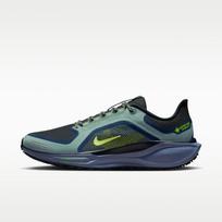 Nike Air Zoom Pegasus 41 Gore-Tex Cannon Obsidian Seaweed Volt 40