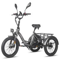 Fafrees F20 Mate Elektrinis dviratis Krovininis dviratis 500W Variklis Sulankstomas Miesto elektrinis dviratis Didžiausias greitis 30 km/h 48V 21AH LCD ekranas Maksimali apkrova 180 kg Lite pilka