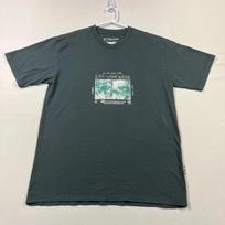 Valgyk savo vandenį T marškinėliai EYW Surfwear Australijos prekės ženklo Banglenčių apranga Marškinėliai Vyriški Mažas S 3XL