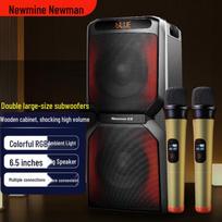 Newmine A2 High-Power Outdoor Karaoke Bluetooth Speaker with Dual Microphones CN plug (adapter included)