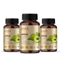 Jiva Amla Tablets 500mg 120 Tablet X ack of 3 | Antioxidant-Rich Vitamin C Supplement for Digestion and Vision Support