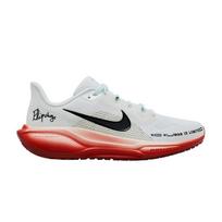 Nike Air Zoom Pegasus 41 Eliud Kipchoge 40