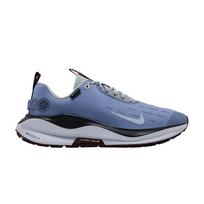 Nike React Infinity Run 4 Gore-Tex pelenų plokštelės šviesus pemzos tamsus dūmas 42