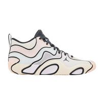 Air Jordan Tatum 3 PF 'Sidewalk Chalk' 42.5